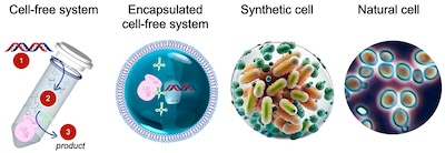 {Synthetic cell platforms}