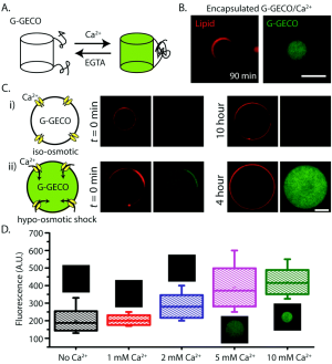 {Booth et al., 2016, Figure 2}