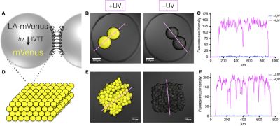 {Booth et al., 2016, Figure 2}