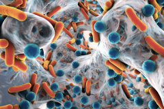 {Synthetic slimes (biofilms)}