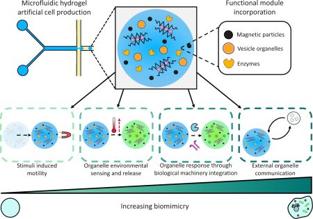 {Allen et al., 2023, Figure 1}