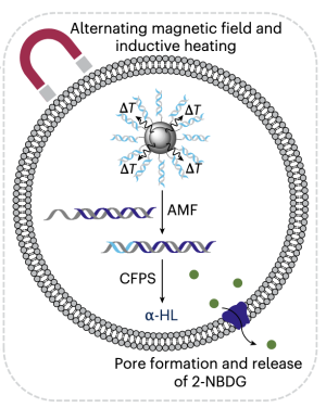 {Parkes et al., 2025, Figure 5}