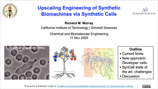 Murray jhu2025-firstpage.png